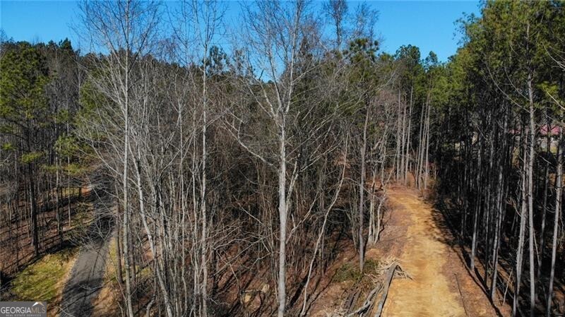 5.566 Acres On Orlando Path Dallas GA 30157