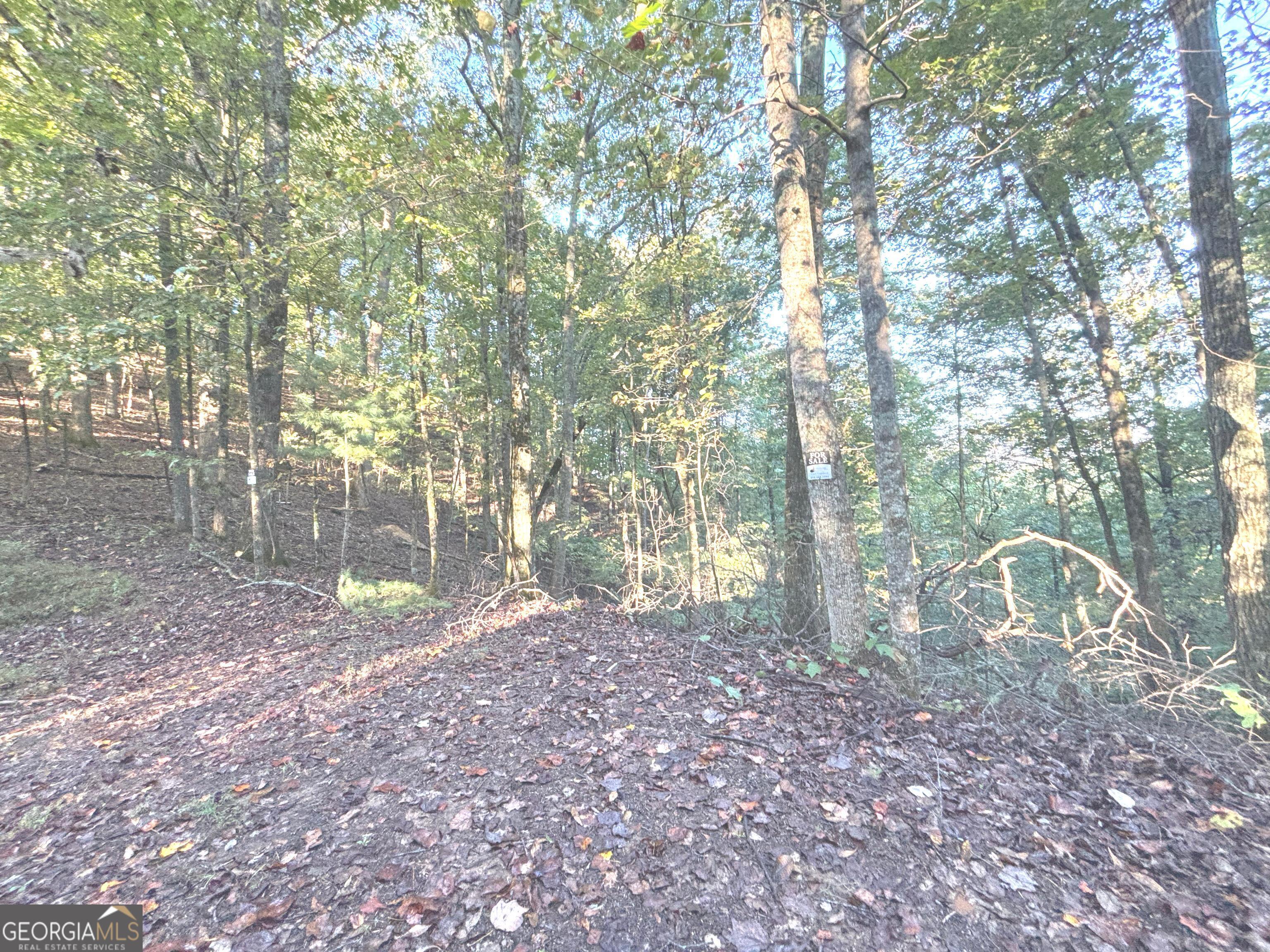 122 Adair Drive Ranger GA 30734