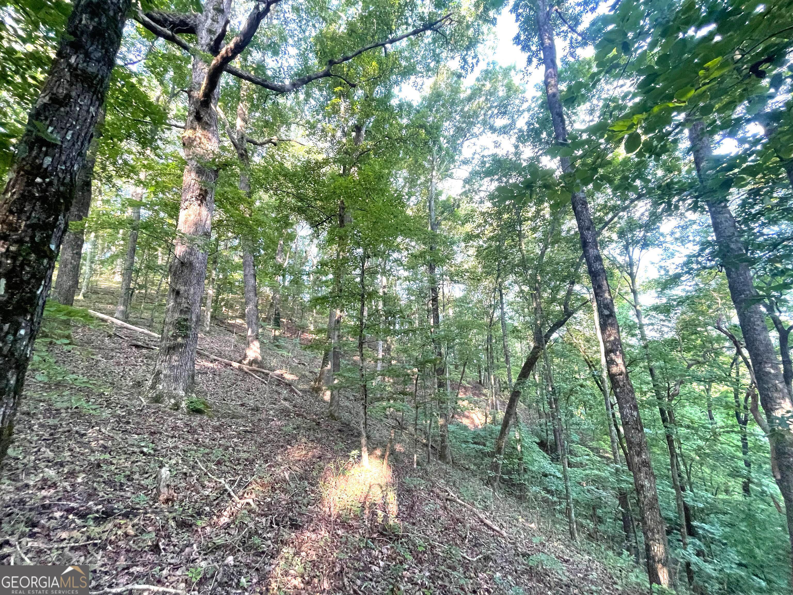 122 Adair Drive Ranger GA 30734