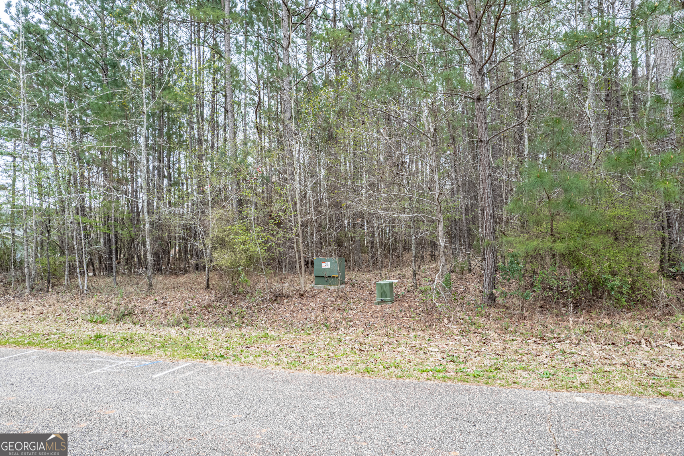 203 Hidden Lakes Drive Gray GA 31032