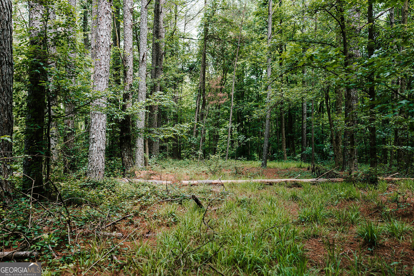 0 Stephens Salem Road Stephens GA 30667