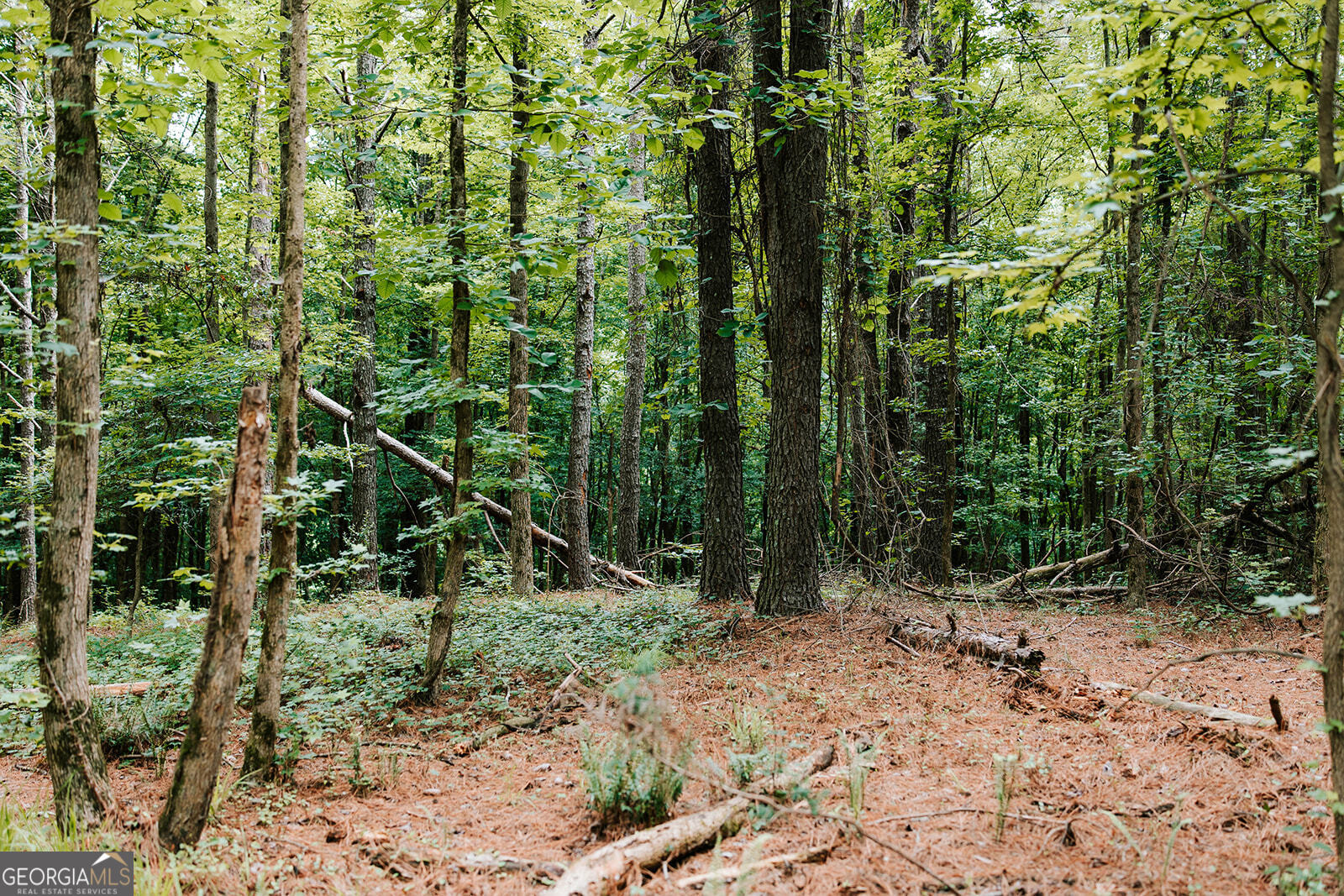 0 Stephens Salem Road Stephens GA 30667