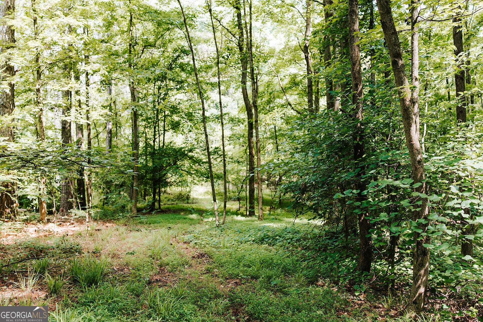 0 Stephens Salem Road Stephens GA 30667