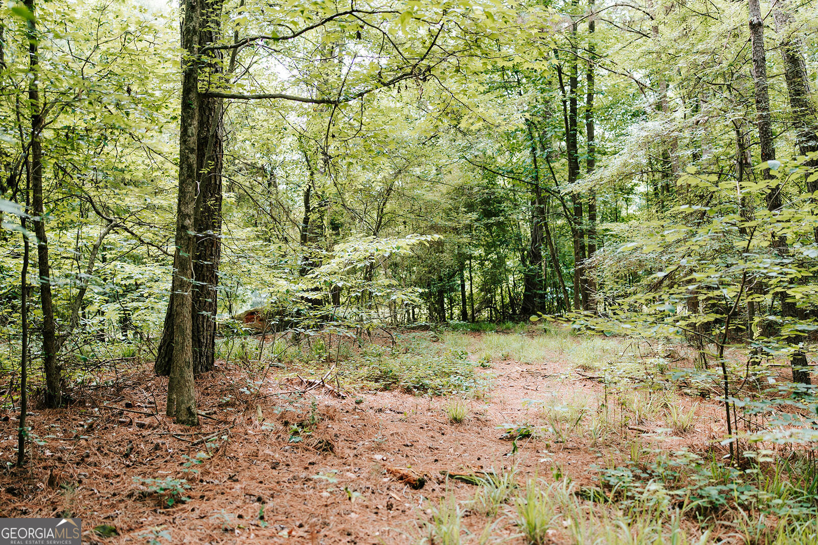 0 Stephens Salem Road Stephens GA 30667