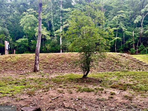 193 Opossum Road Blairsville GA 30512
