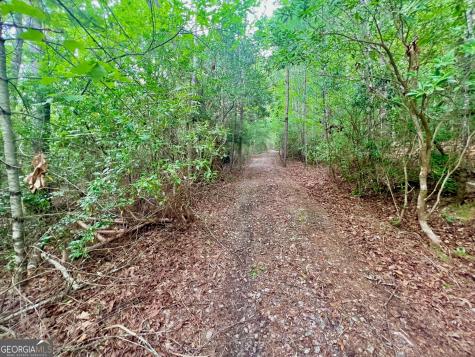 193 Opossum Road Blairsville GA 30512