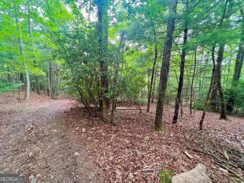 193 Opossum Road Blairsville GA 30512