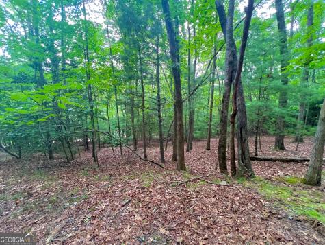193 Opossum Road Blairsville GA 30512