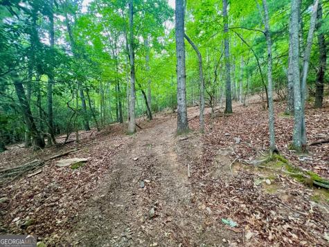 193 Opossum Road Blairsville GA 30512
