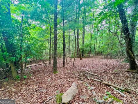 193 Opossum Road Blairsville GA 30512