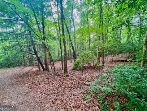 193 Opossum Road Blairsville GA 30512