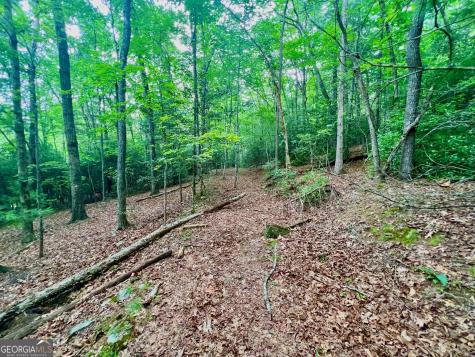 193 Opossum Road Blairsville GA 30512