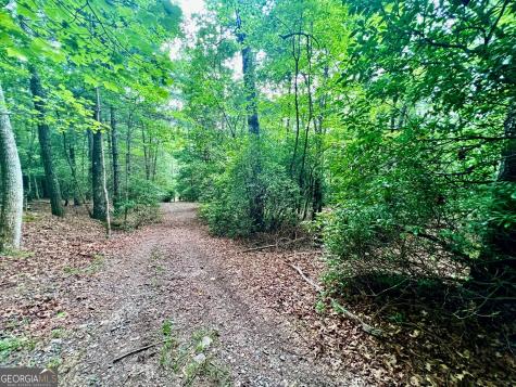 193 Opossum Road Blairsville GA 30512