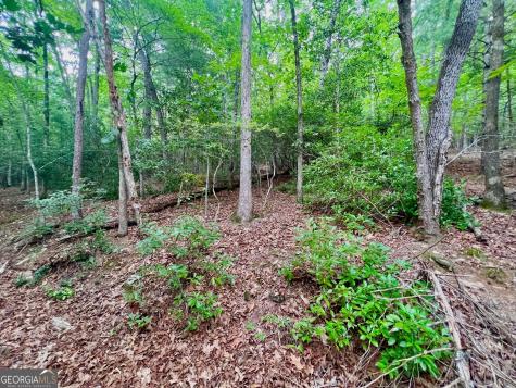 193 Opossum Road Blairsville GA 30512