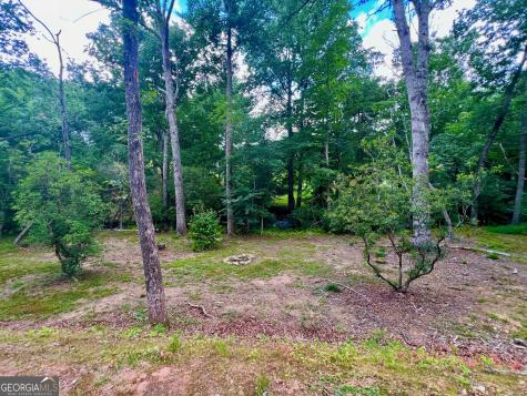 193 Opossum Road Blairsville GA 30512