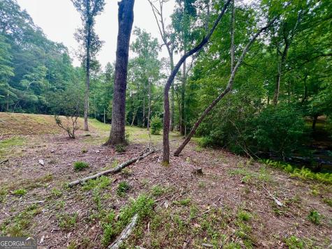 193 Opossum Road Blairsville GA 30512