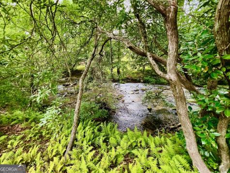 193 Opossum Road Blairsville GA 30512