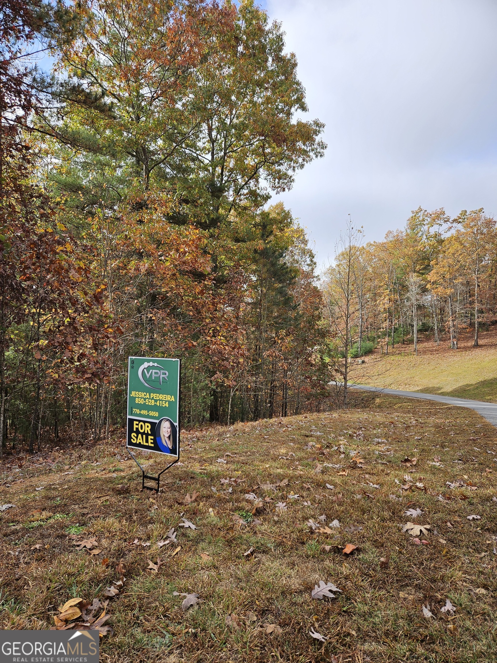 0 The Hills Lane Blairsville GA 30512