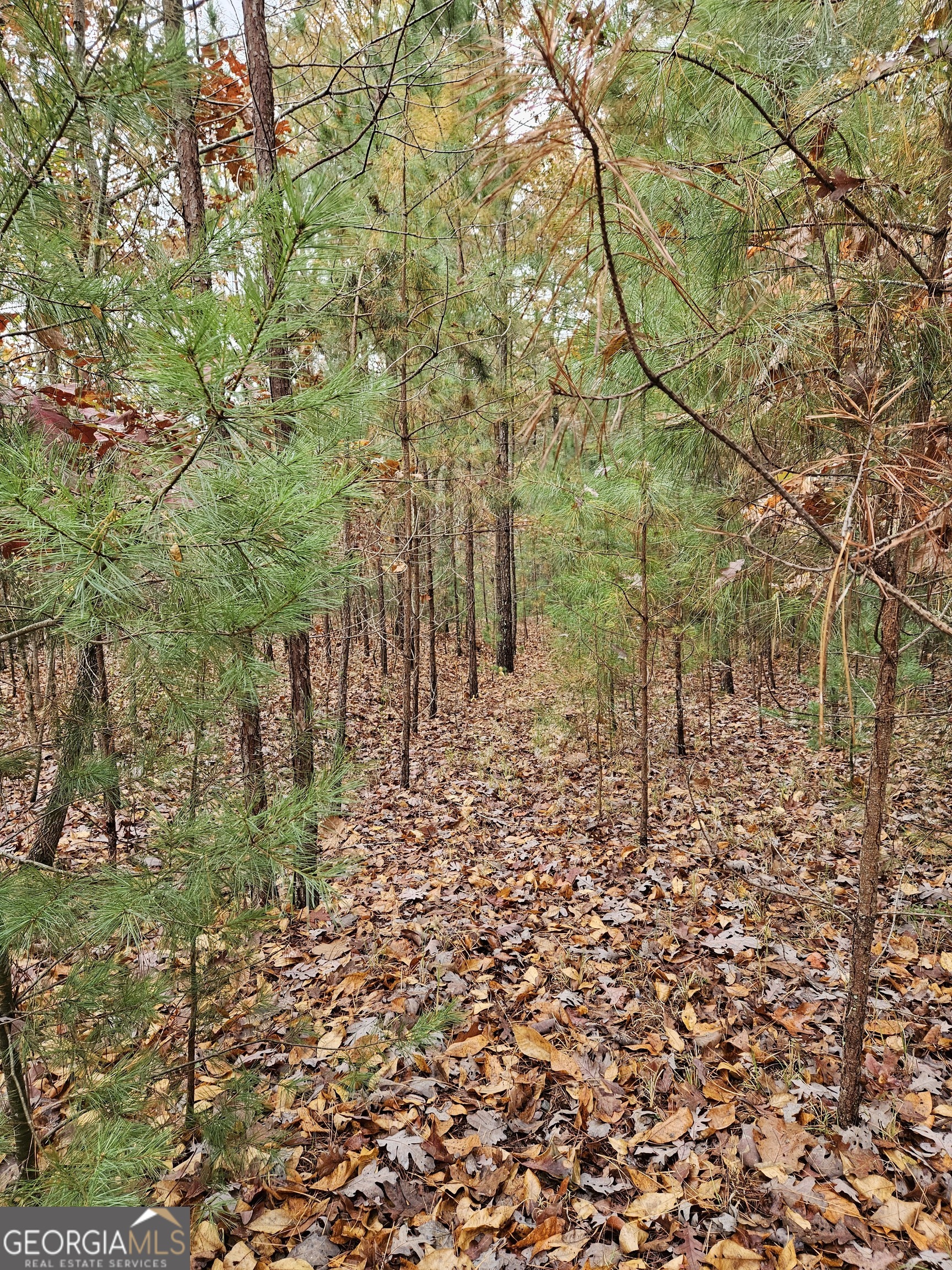 0 The Hills Lane Blairsville GA 30512