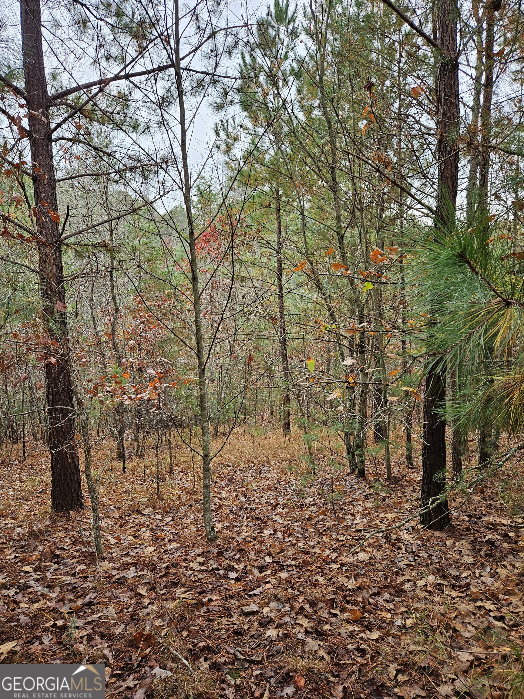 0 The Hills Lane Blairsville GA 30512