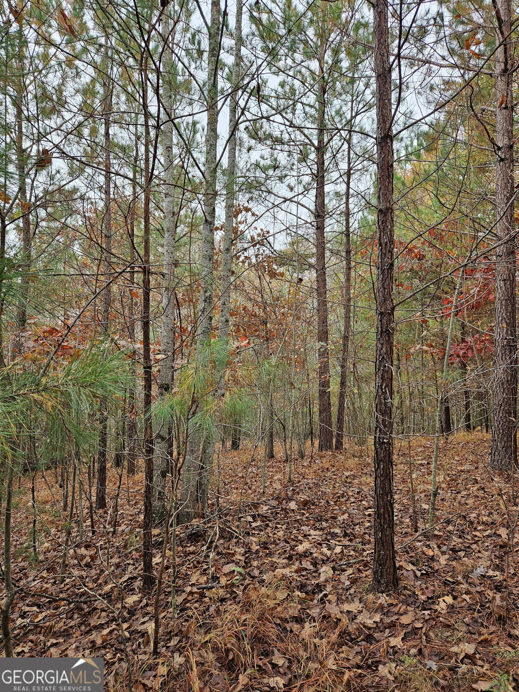 0 The Hills Lane Blairsville GA 30512