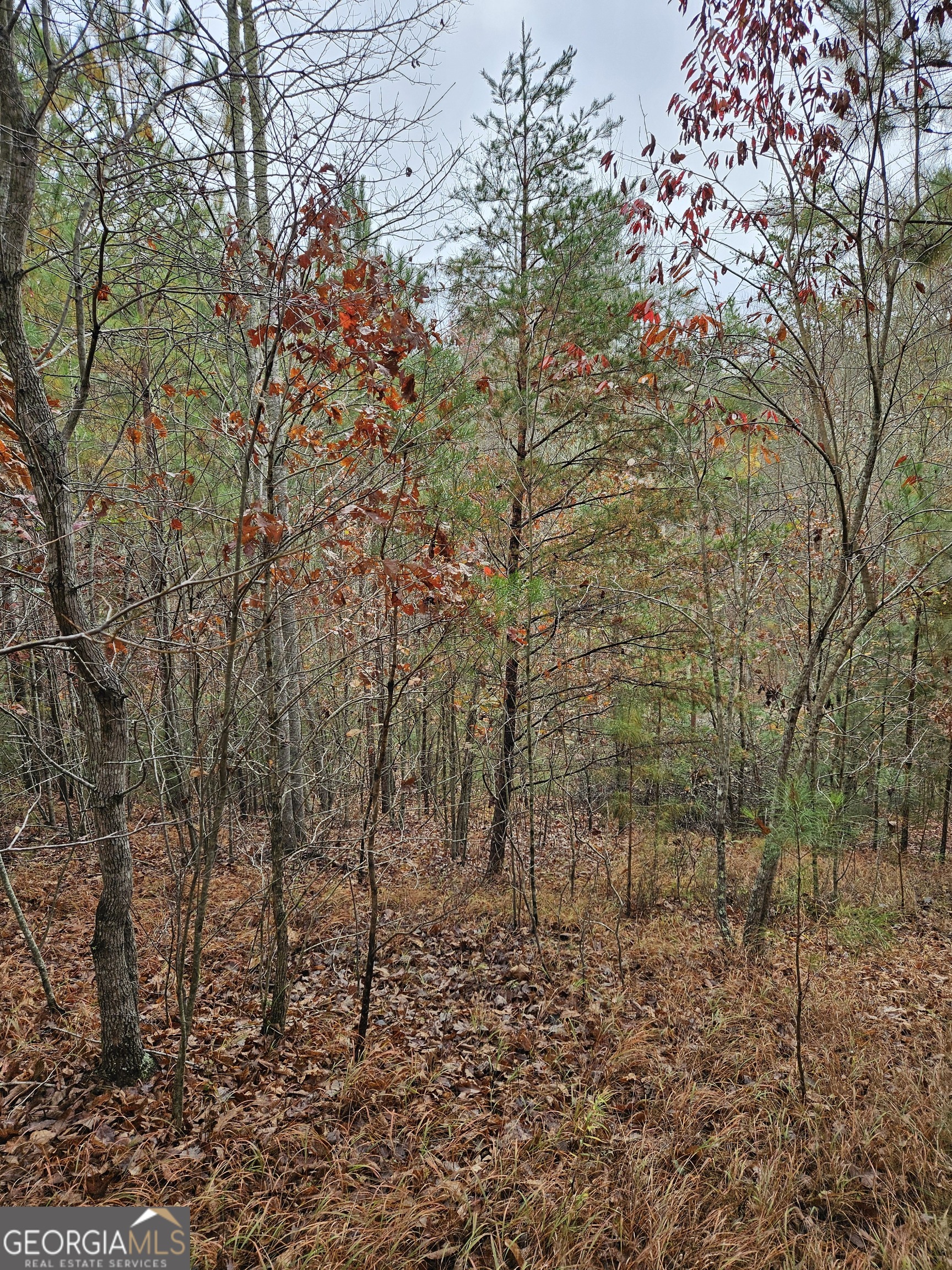 0 The Hills Lane Blairsville GA 30512