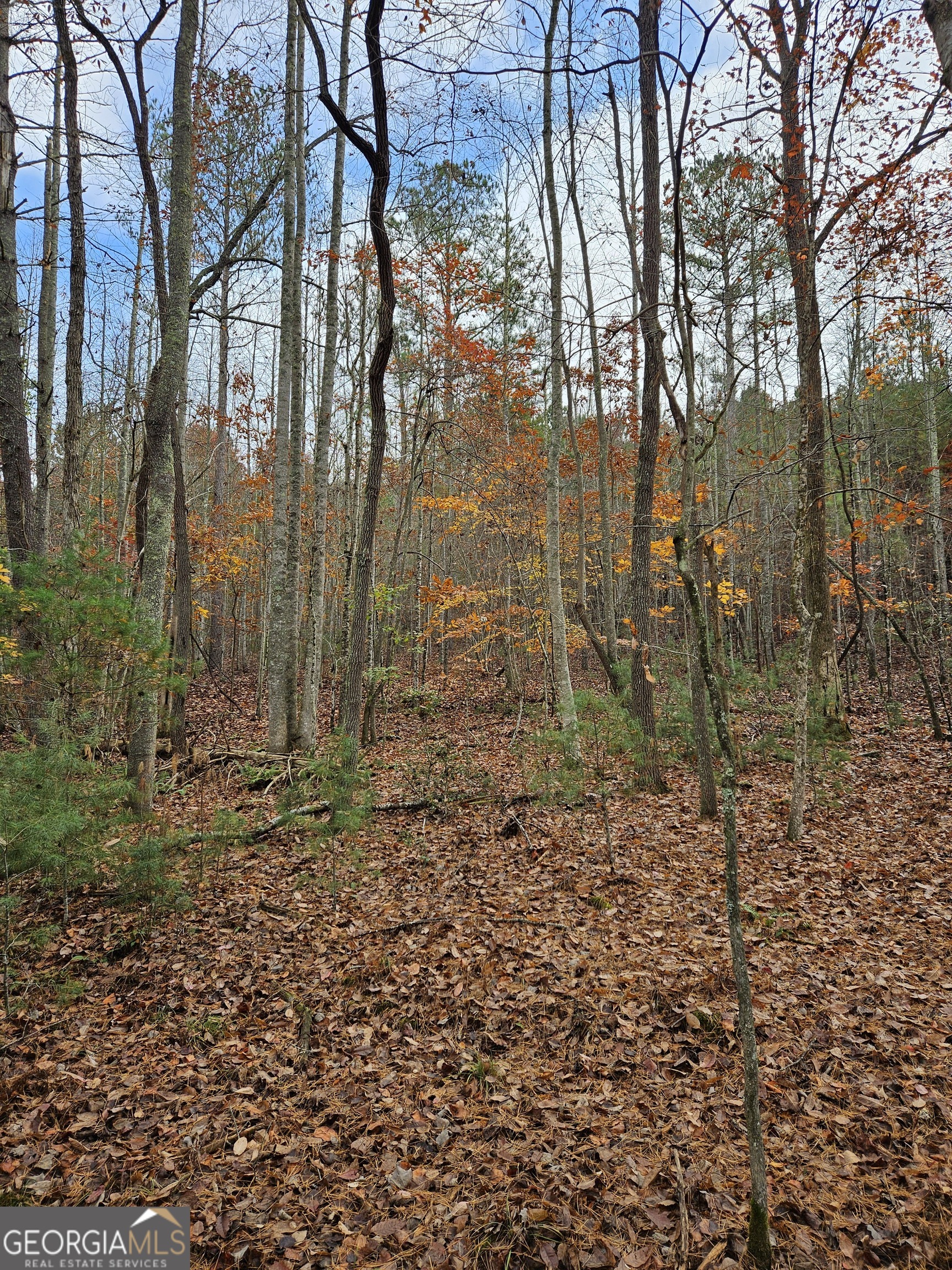 0 The Hills Lane Blairsville GA 30512