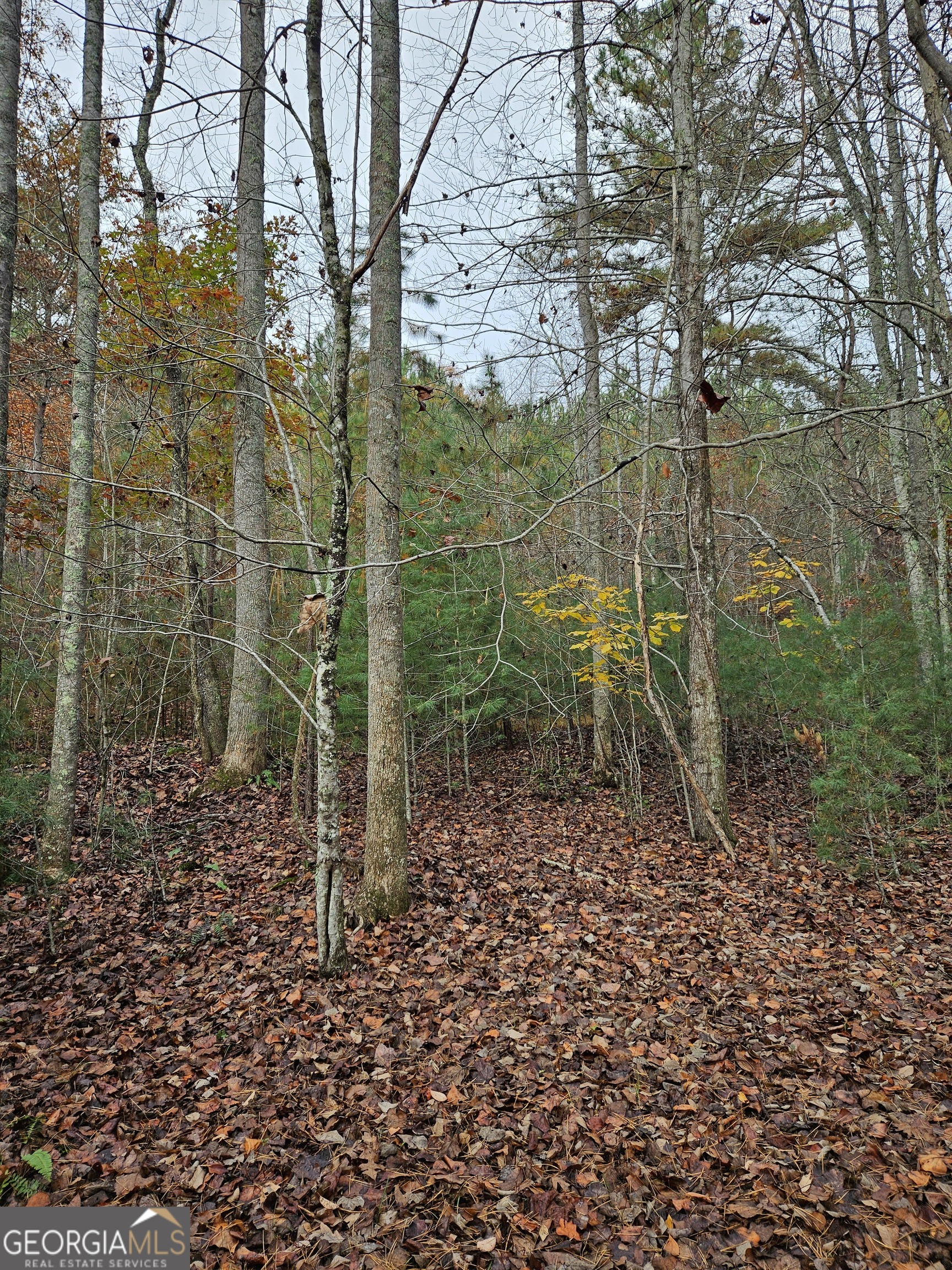 0 The Hills Lane Blairsville GA 30512