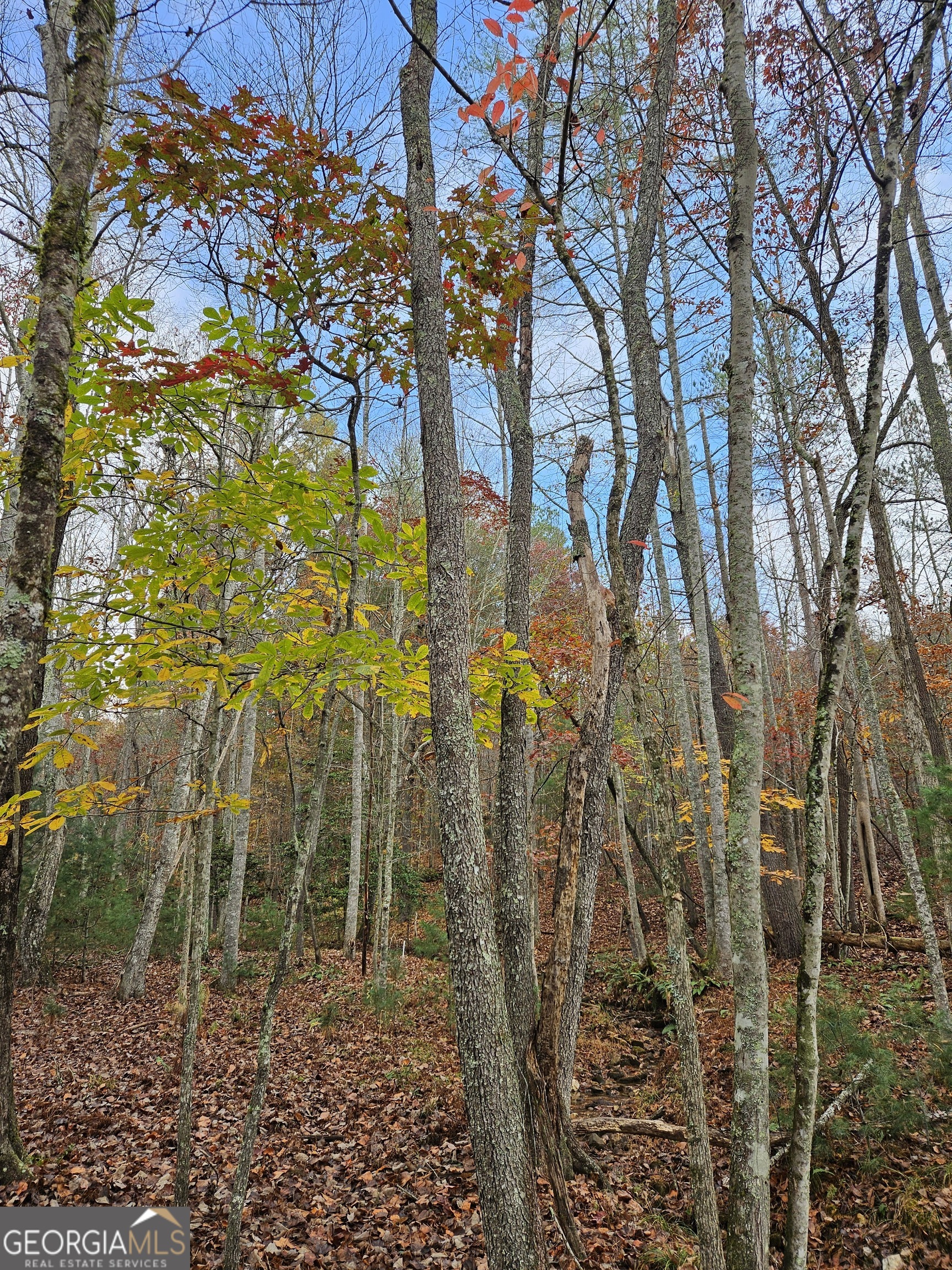 0 The Hills Lane Blairsville GA 30512