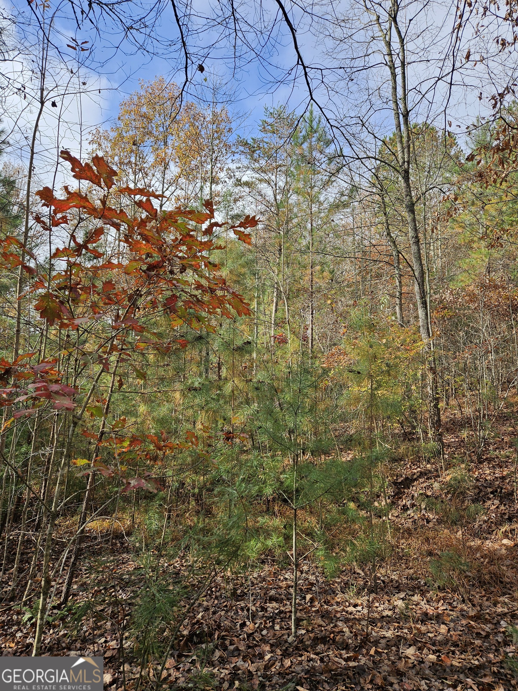 0 The Hills Lane Blairsville GA 30512
