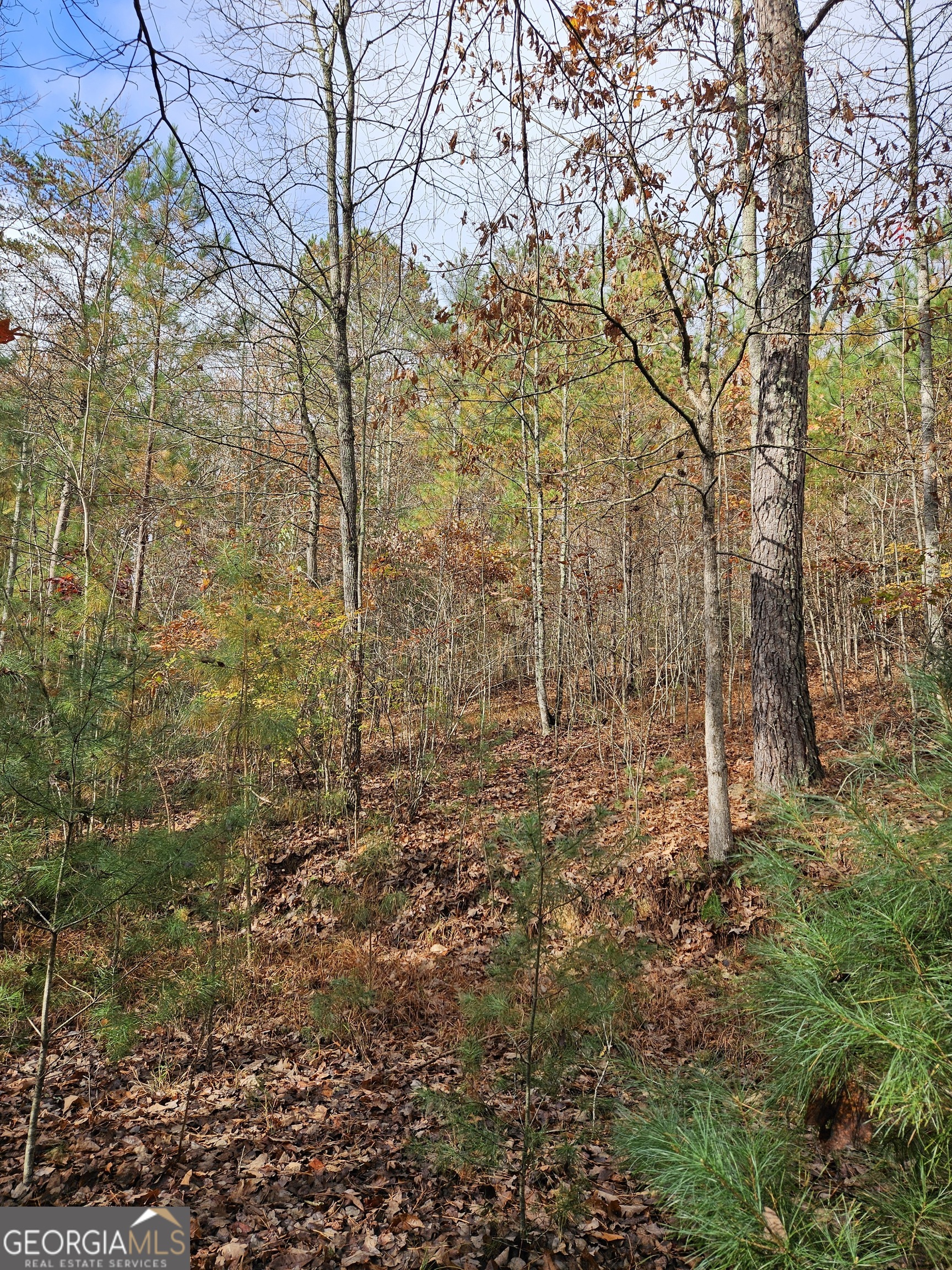 0 The Hills Lane Blairsville GA 30512