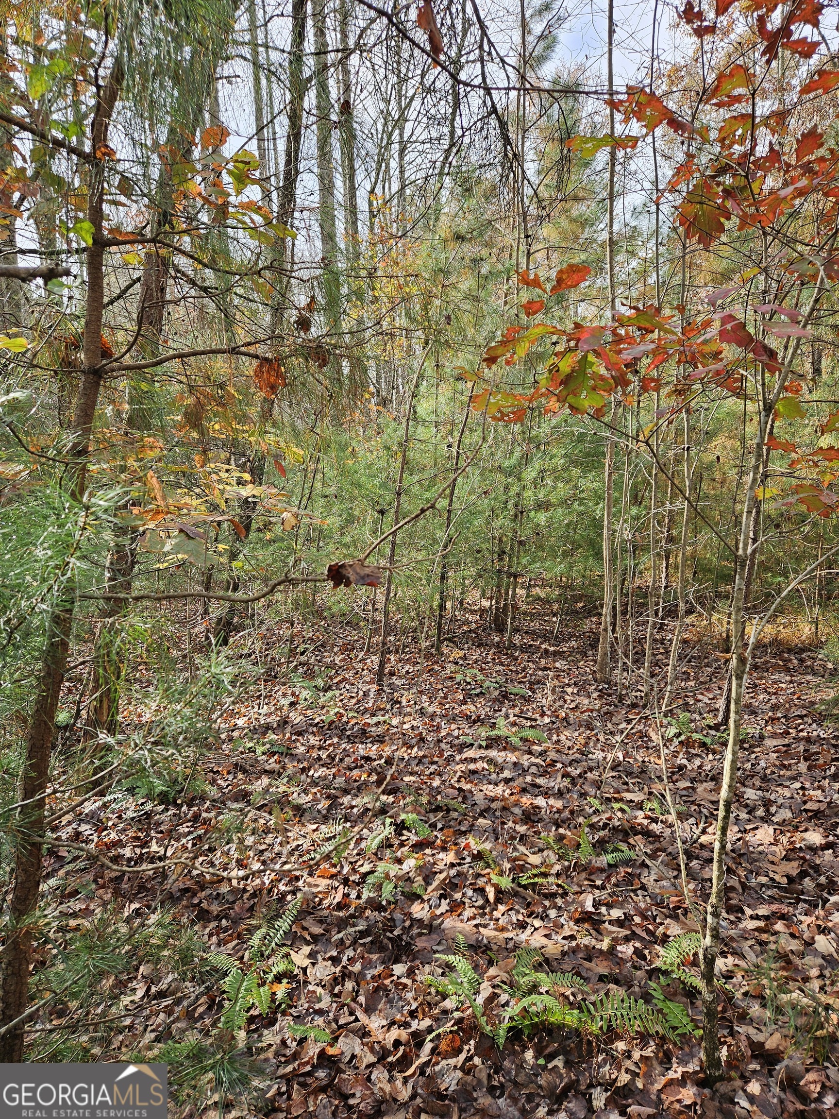 0 The Hills Lane Blairsville GA 30512