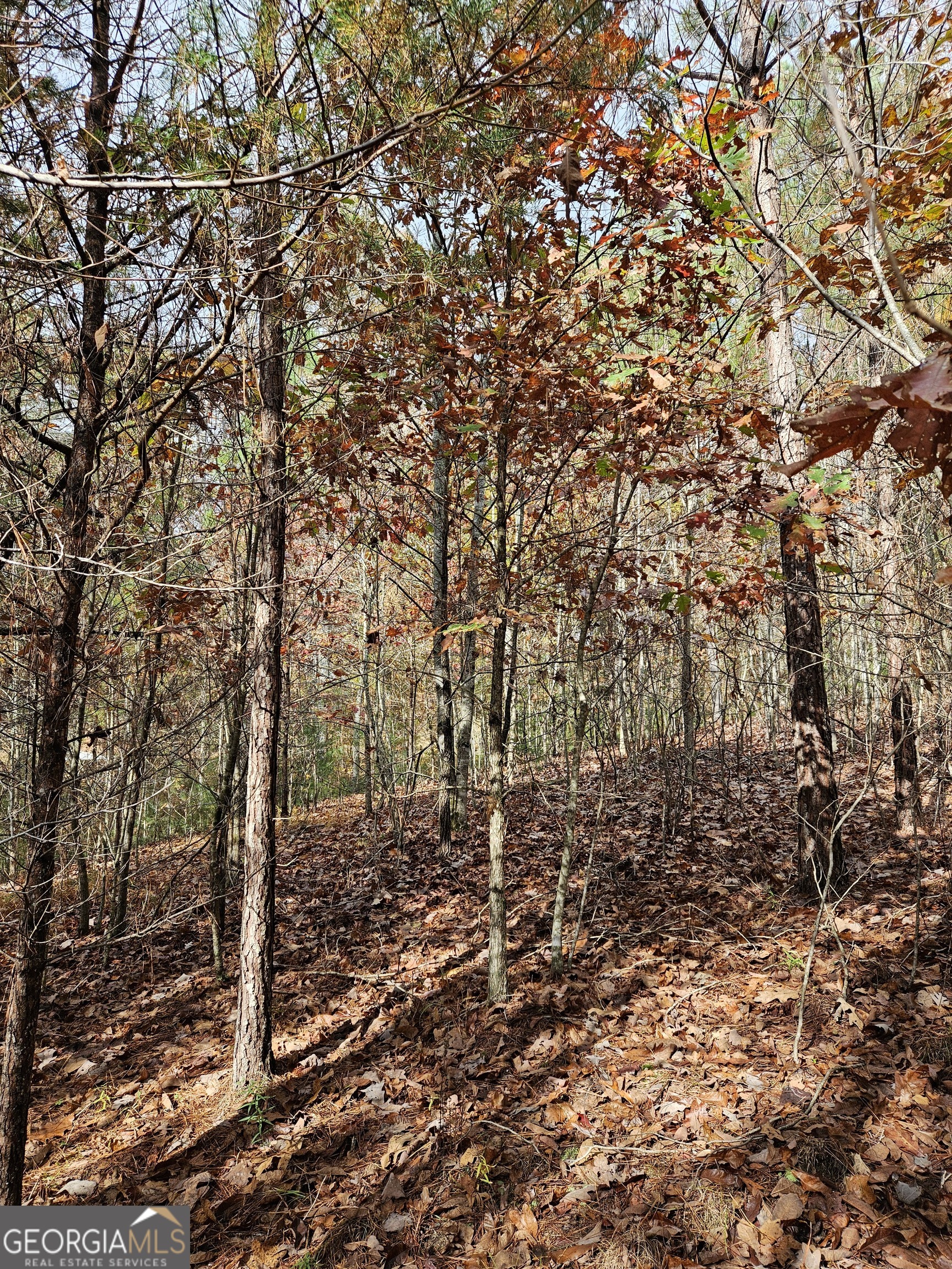 0 The Hills Lane Blairsville GA 30512