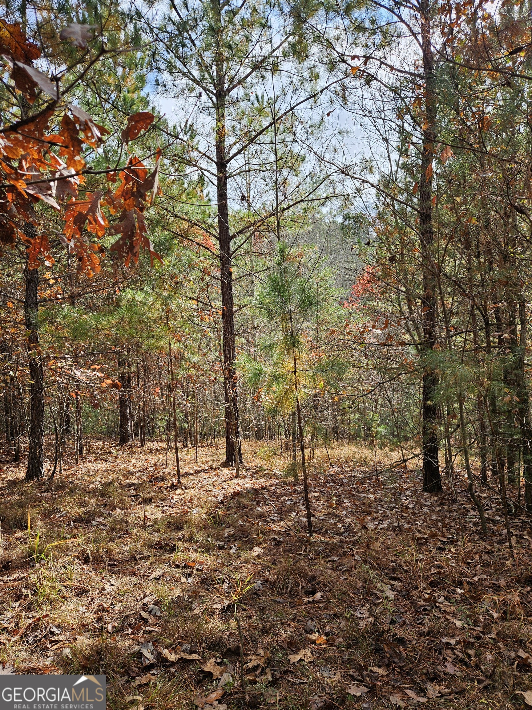 0 The Hills Lane Blairsville GA 30512