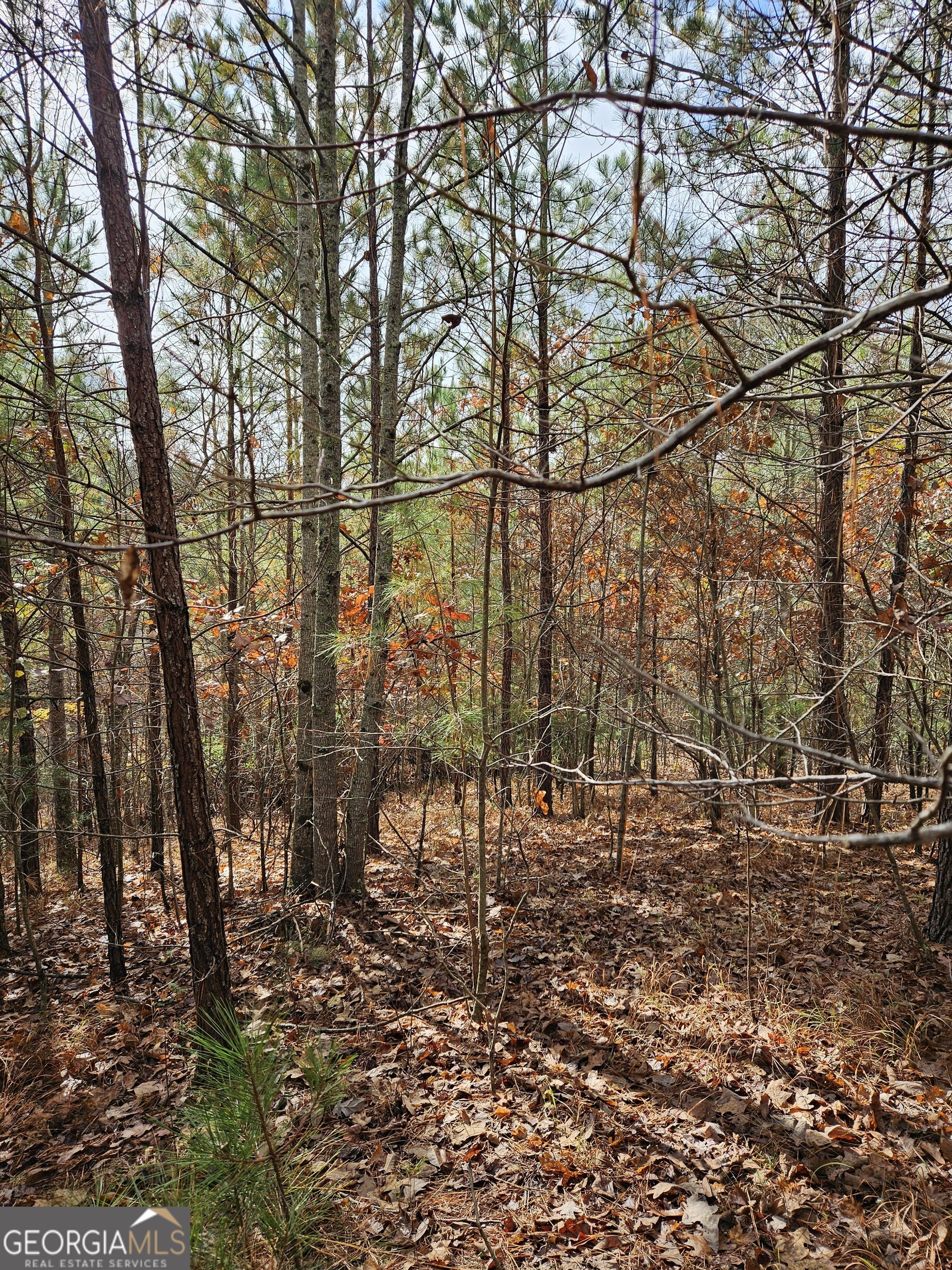 0 The Hills Lane Blairsville GA 30512
