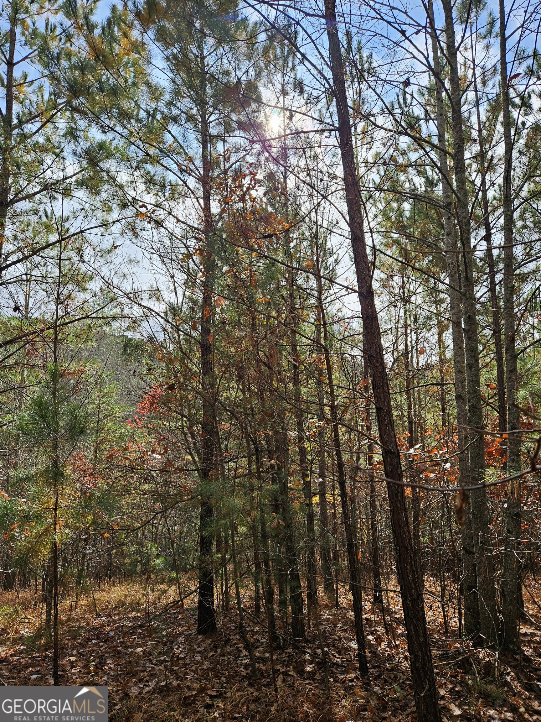 0 The Hills Lane Blairsville GA 30512