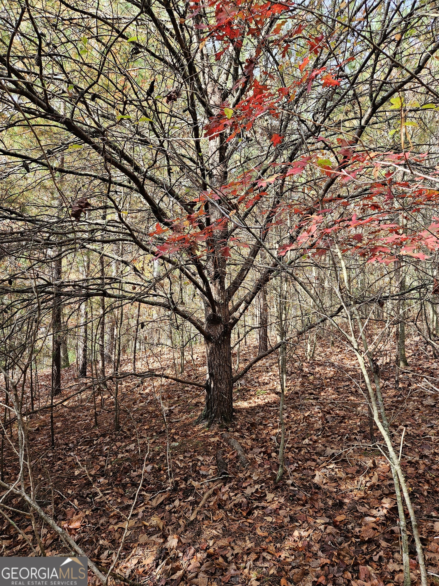 0 The Hills Lane Blairsville GA 30512