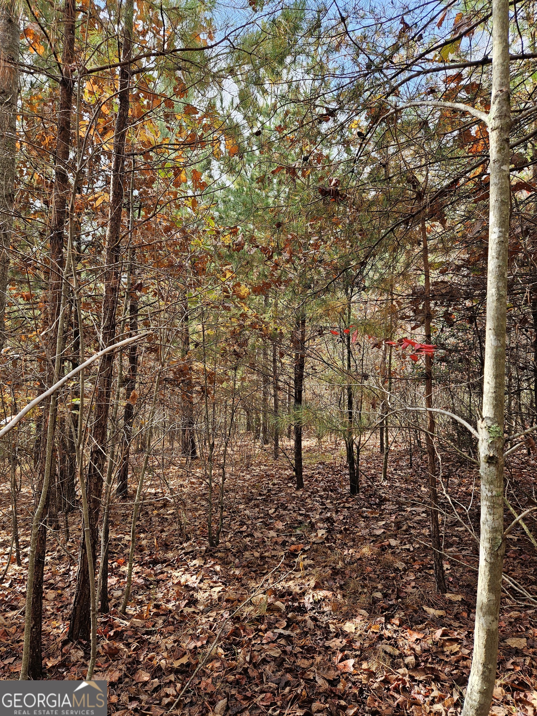 0 The Hills Lane Blairsville GA 30512