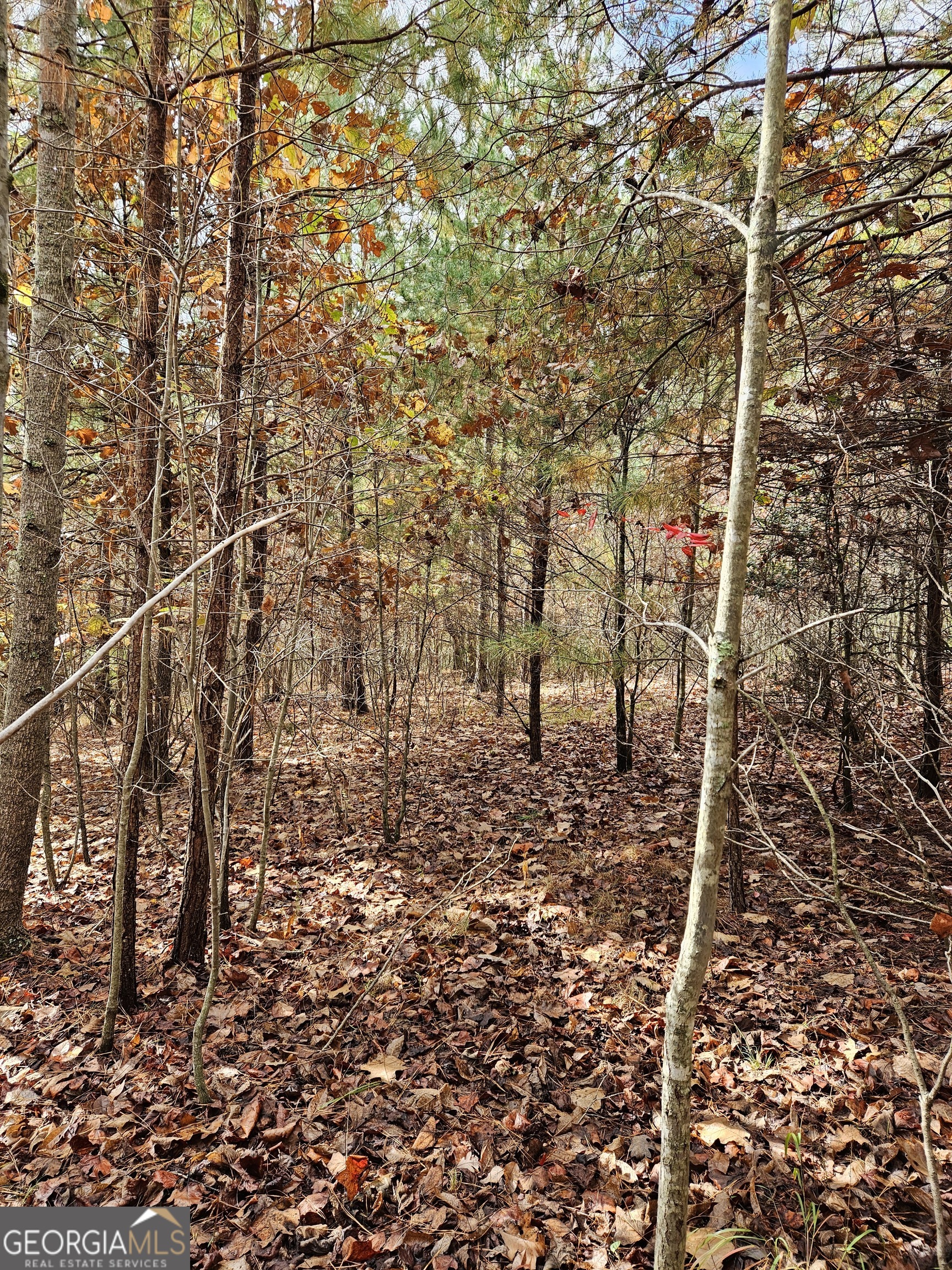 0 The Hills Lane Blairsville GA 30512