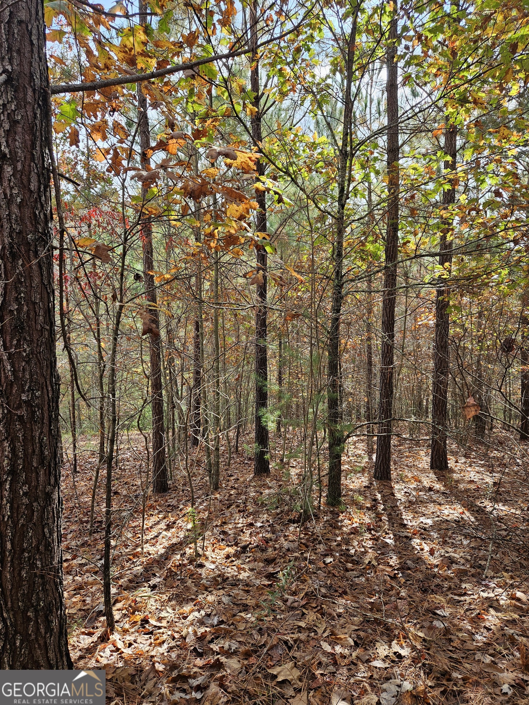 0 The Hills Lane Blairsville GA 30512