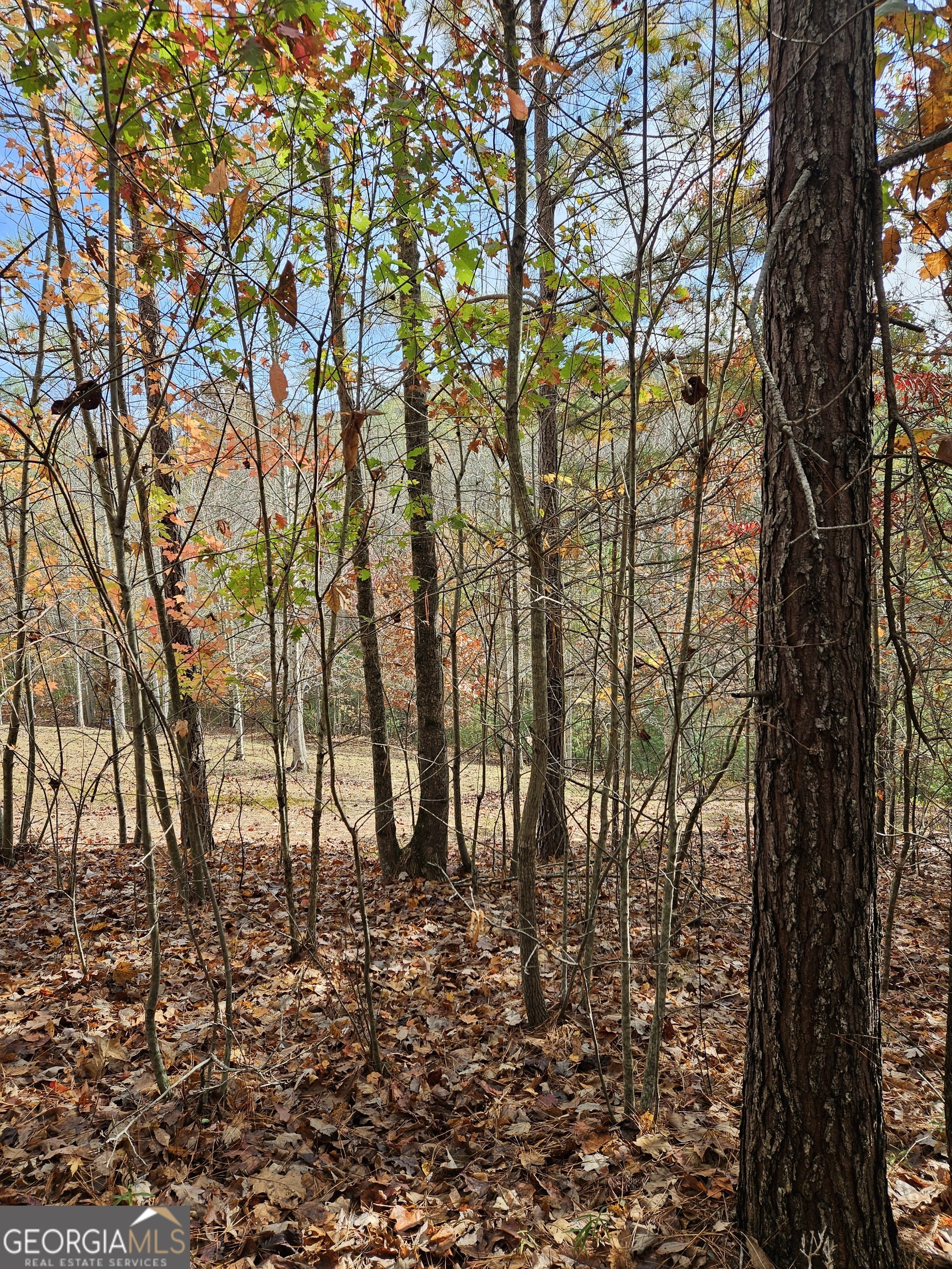 0 The Hills Lane Blairsville GA 30512