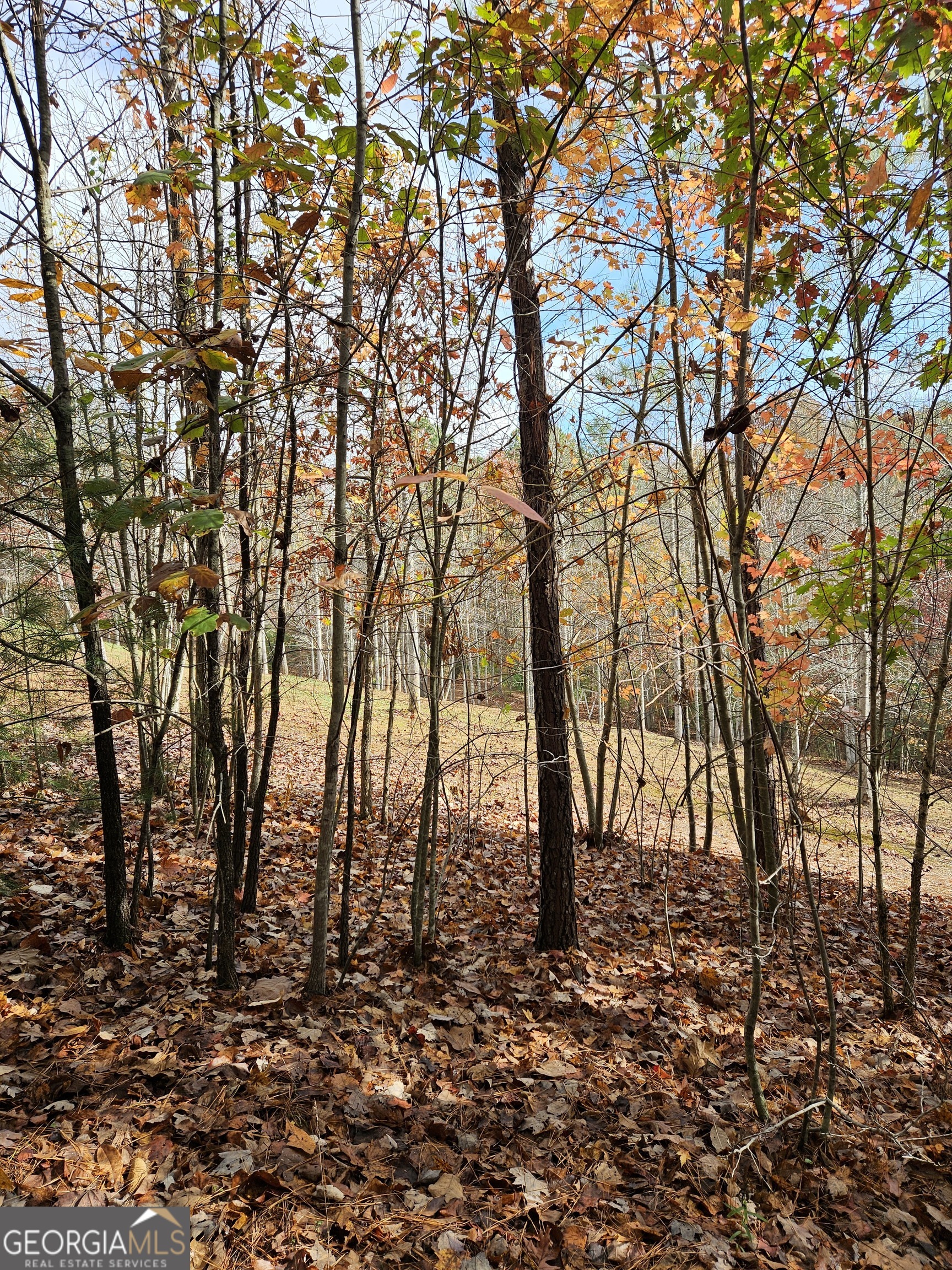 0 The Hills Lane Blairsville GA 30512