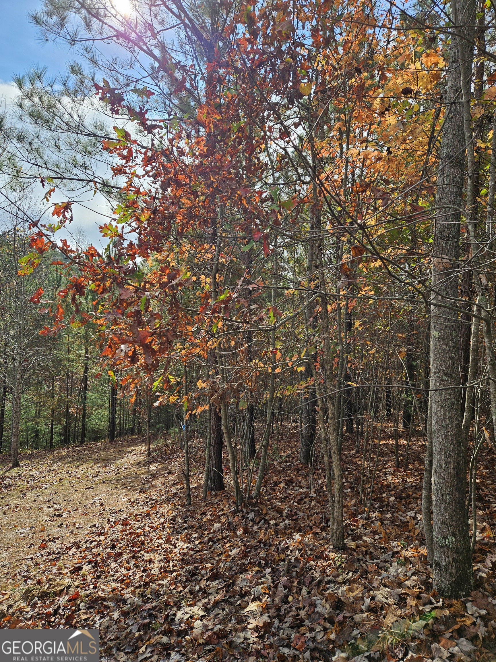 0 The Hills Lane Blairsville GA 30512