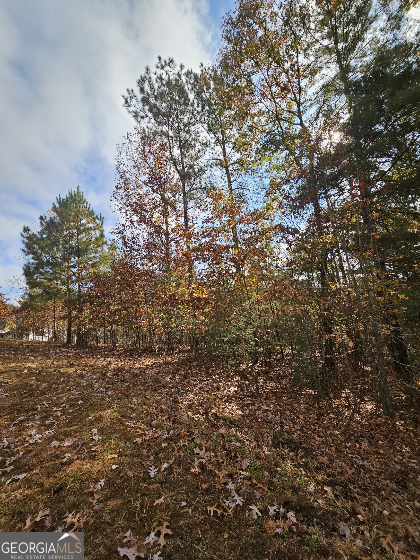 0 The Hills Lane Blairsville GA 30512