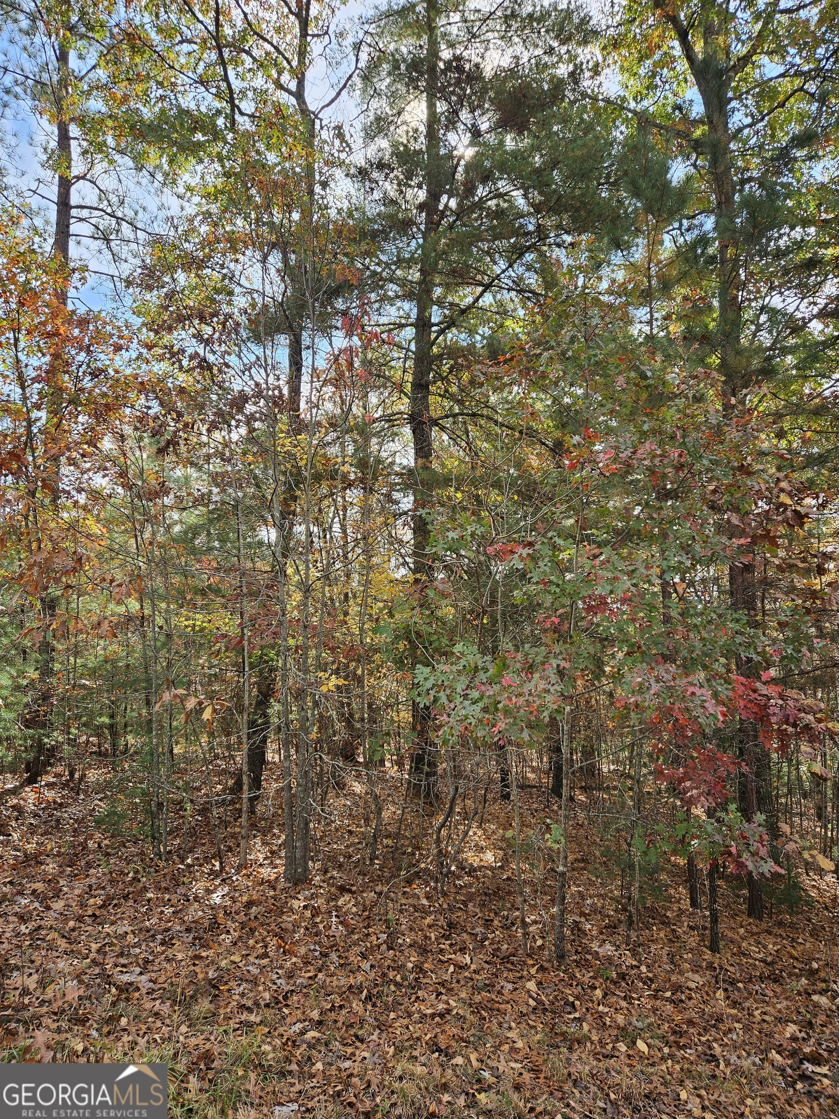 0 The Hills Lane Blairsville GA 30512