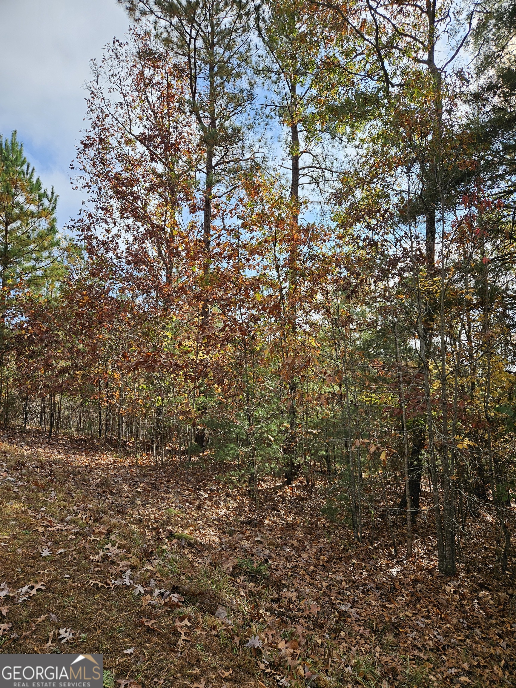 0 The Hills Lane Blairsville GA 30512