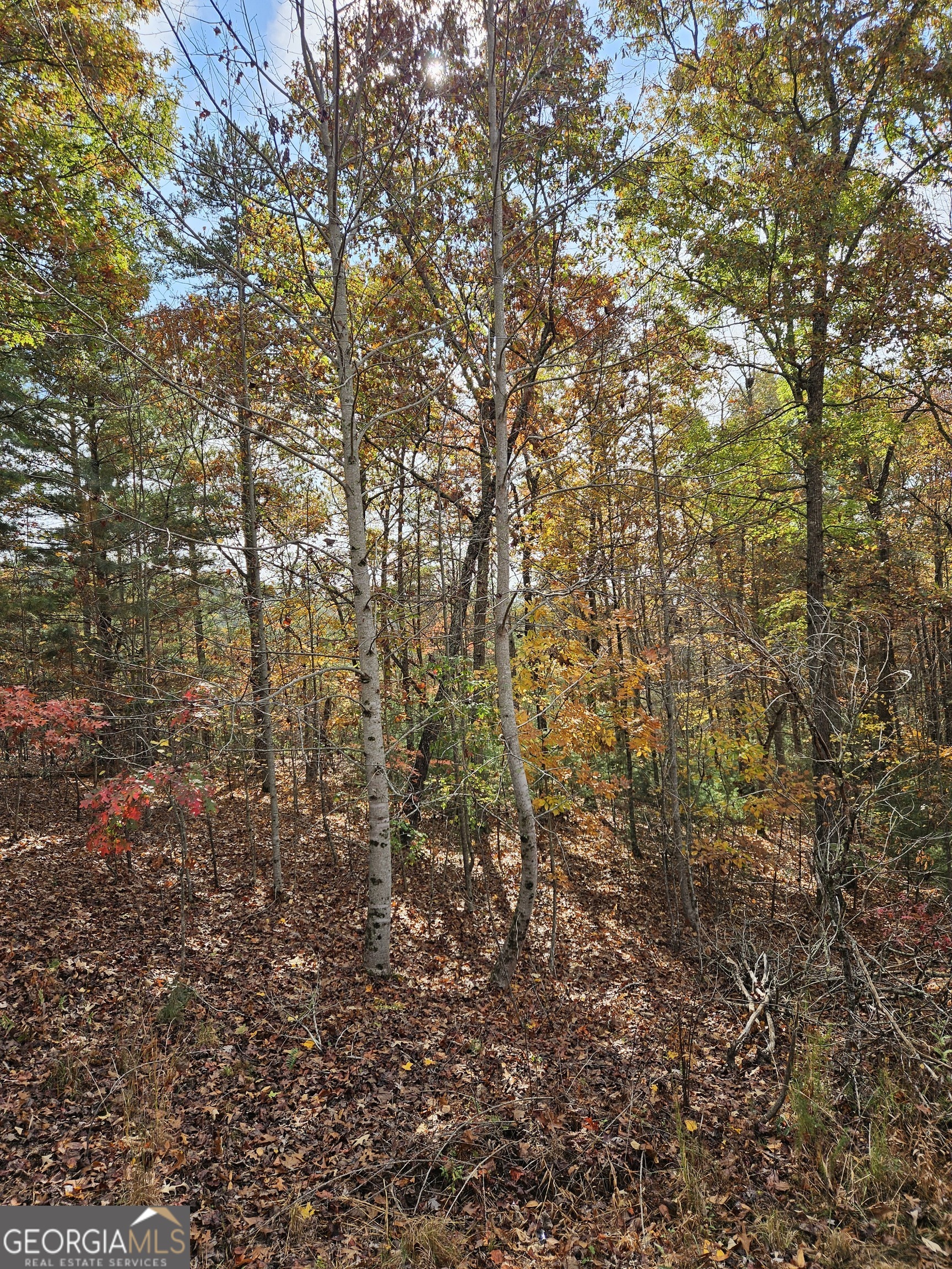 0 The Hills Lane Blairsville GA 30512
