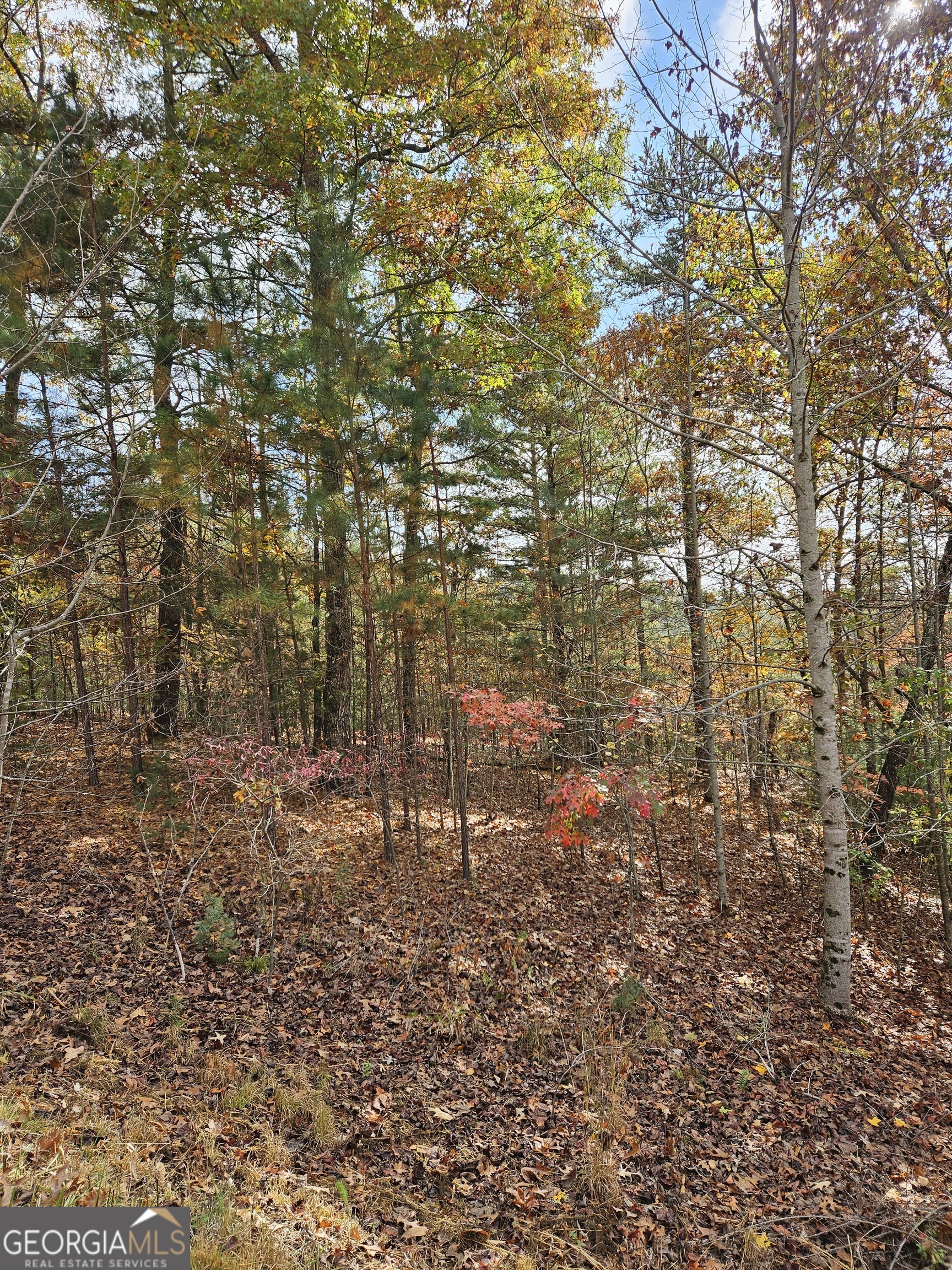 0 The Hills Lane Blairsville GA 30512