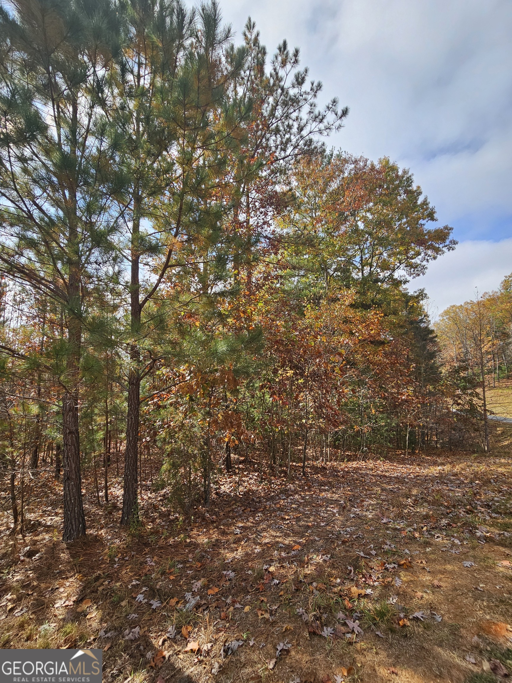 0 The Hills Lane Blairsville GA 30512