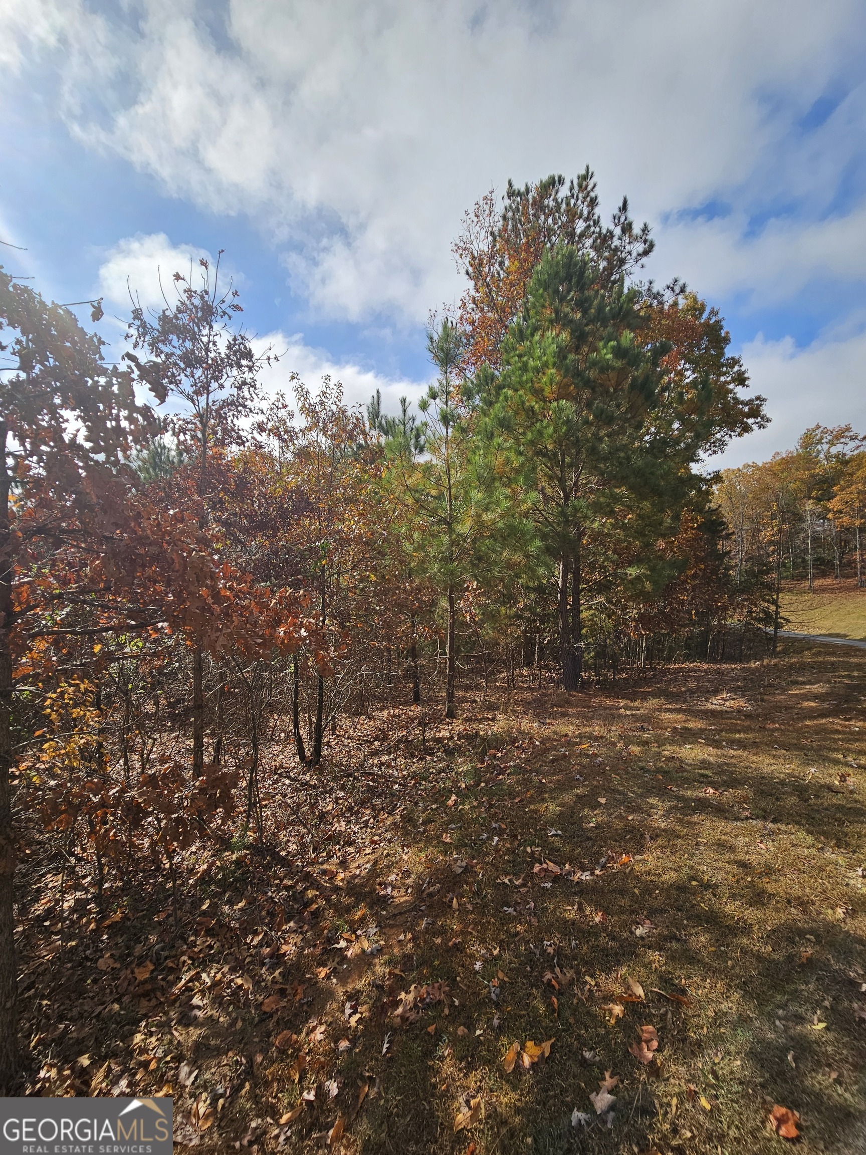 0 The Hills Lane Blairsville GA 30512